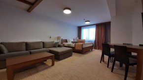 Apartman B332 Aparthotel Vučko Jahorina private host